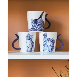 Kop, Kat