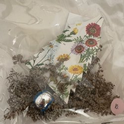 Juletr�suro, papirklip, nr. 10