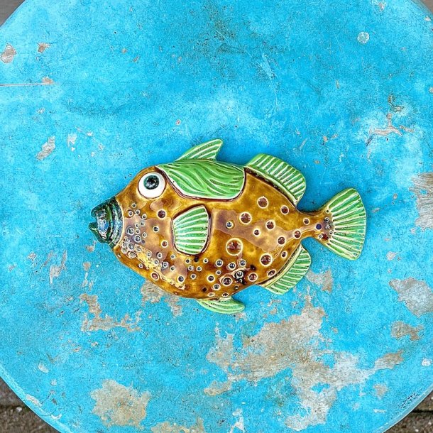 Trigger fish