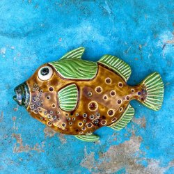 Trigger fish