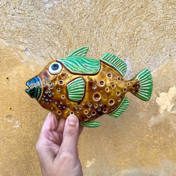 Trigger fish