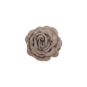 Daisy hrklemme, Latte, lille