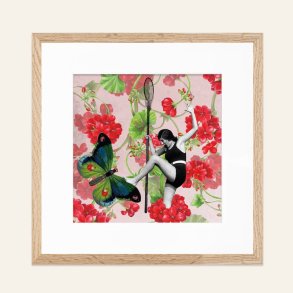 Collage, Sommerfuglejagt