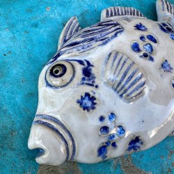 Trigger fish