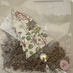 Juletrsuro, papirklip, nr. 24