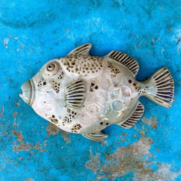 Trigger fish