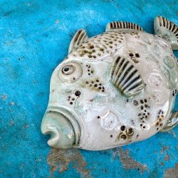 Trigger fish