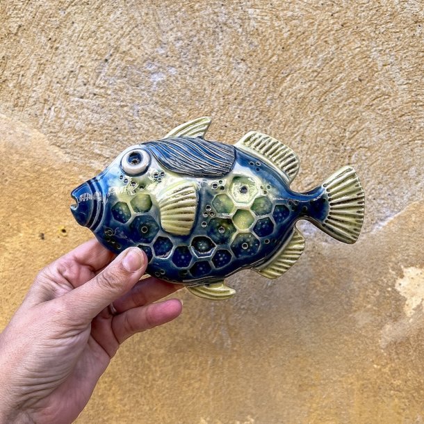 Trigger fish