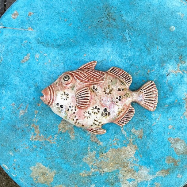Trigger fish