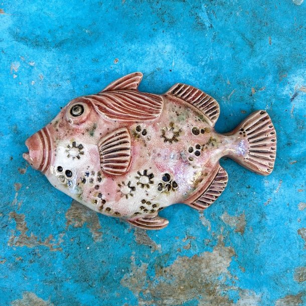 Trigger fish