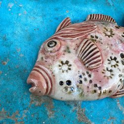 Trigger fish