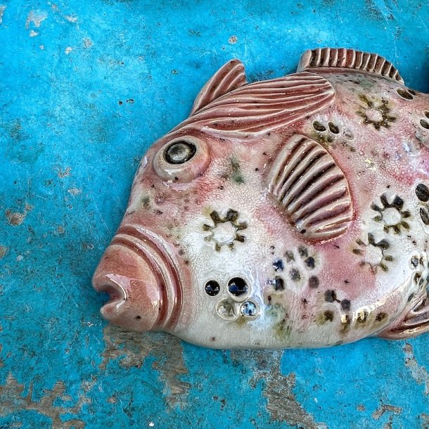 Trigger fish