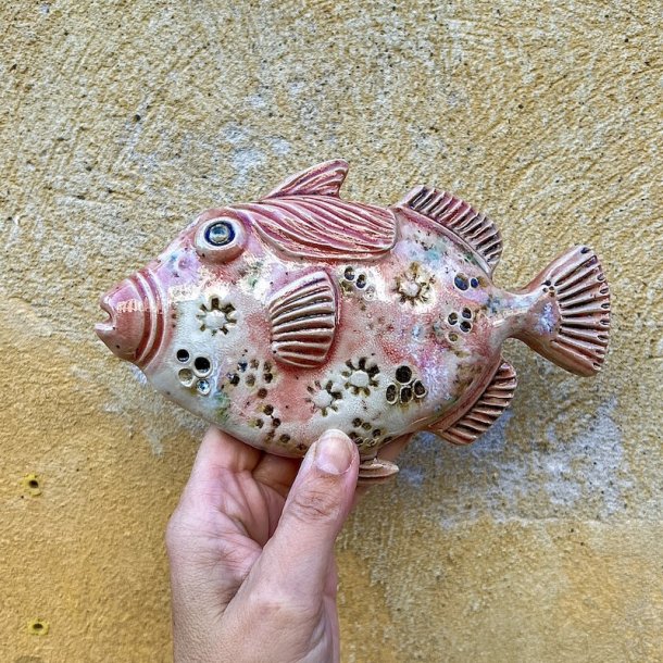 Trigger fish