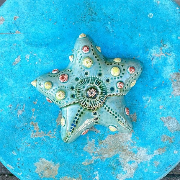 Sea star 2