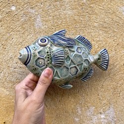 Trigger fish