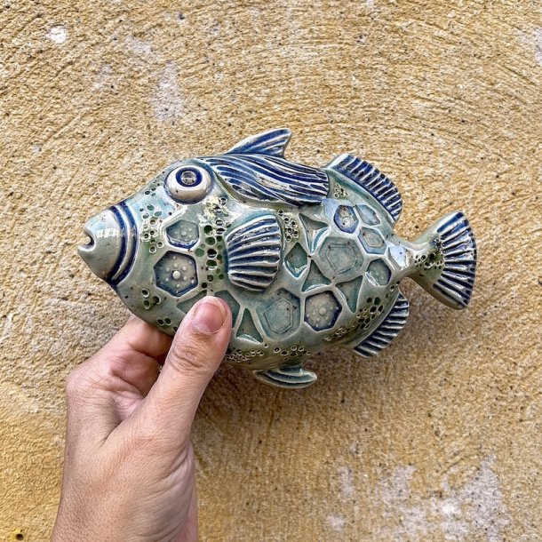 Trigger fish