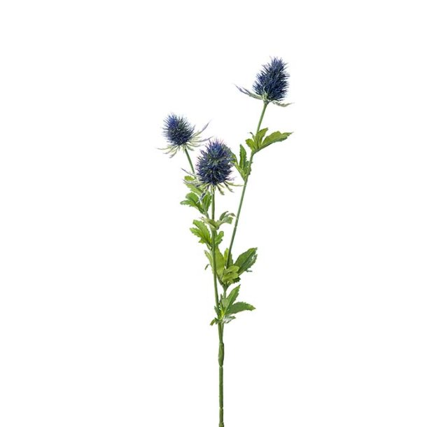 Tidsel, 60cm