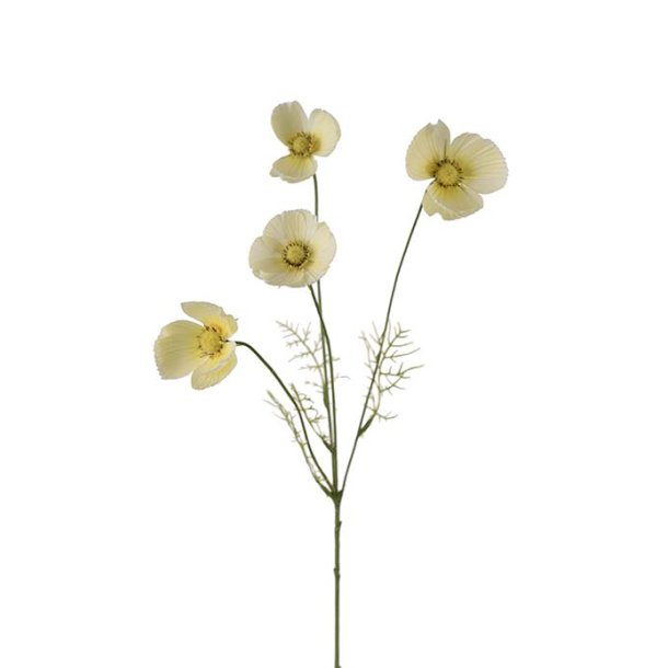 Rosekr, 60cm
