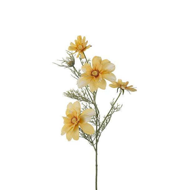 Rosekr, 65cm