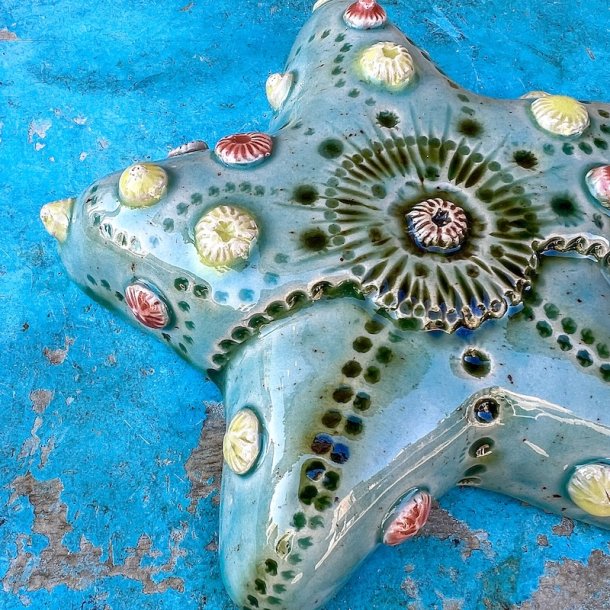 Sea star 2