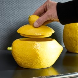 L�gkrukke, citron/lemon