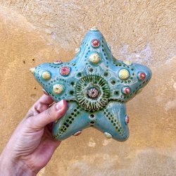 Sea star 2
