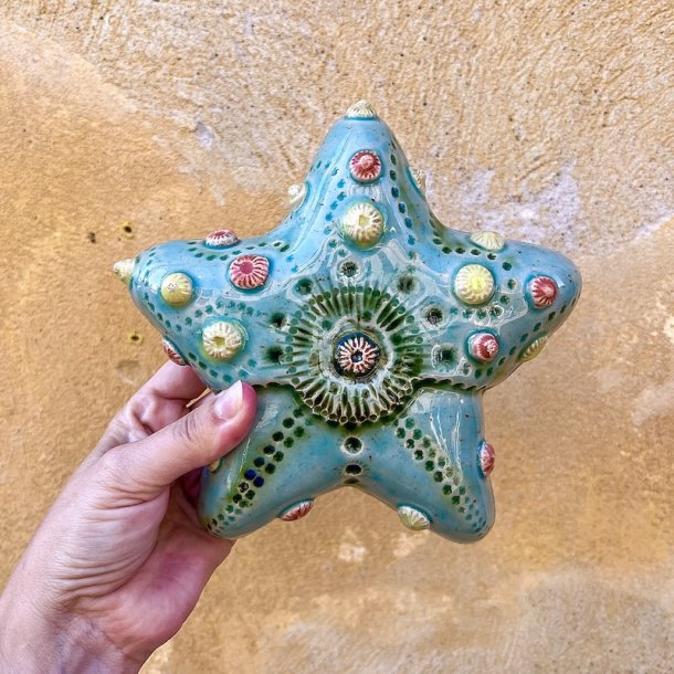 Sea star 2