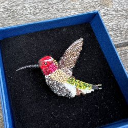 Sparkling kolibri broche