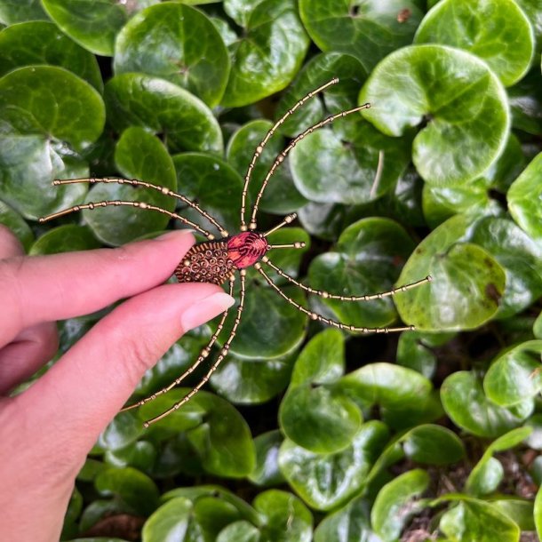 Cellar spider broche