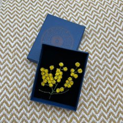 Mimosa broche