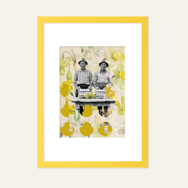 Collage, ggemnd