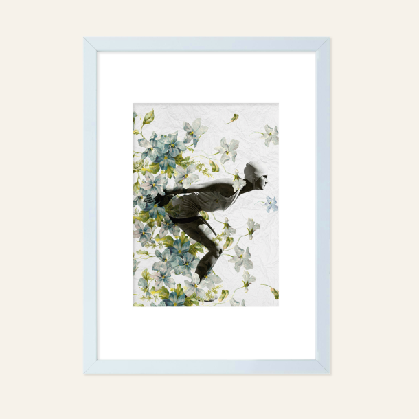Collage, Blomstersvmmer