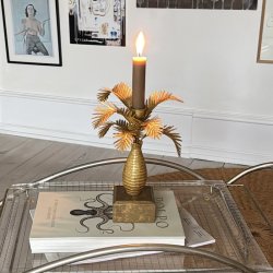 Lysestage, Palm Tree