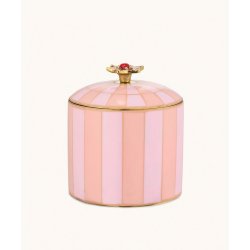 Cirkus box, Cameron XL