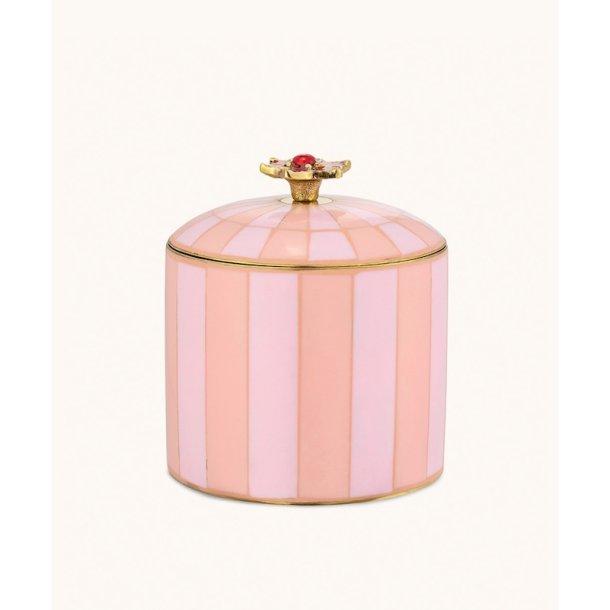 Cirkus box, Cameron XL