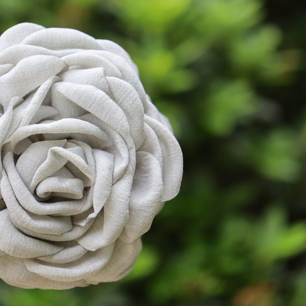 Daisy hrklemme, Stvet grn, stor