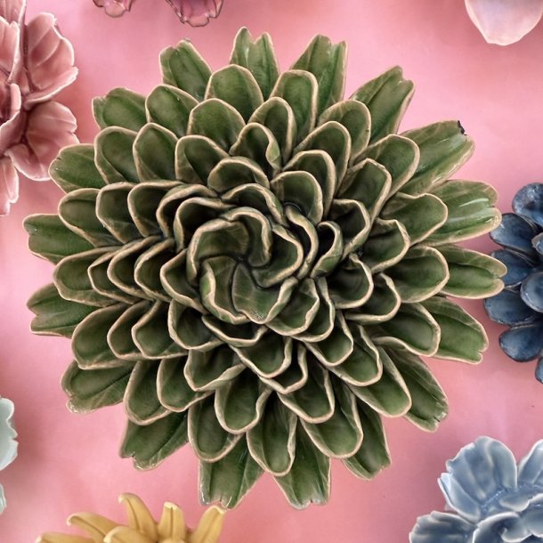 Zinna, Avocado gr�n