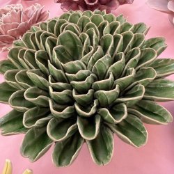 Zinna, Avocado gr�n