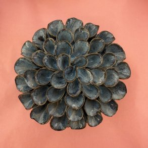 Dahlia pompom, M�rk bl�