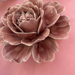Blomst, Rosa