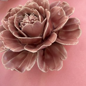 Blomst, Rosa