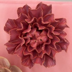 Nellike, Blush-rosa