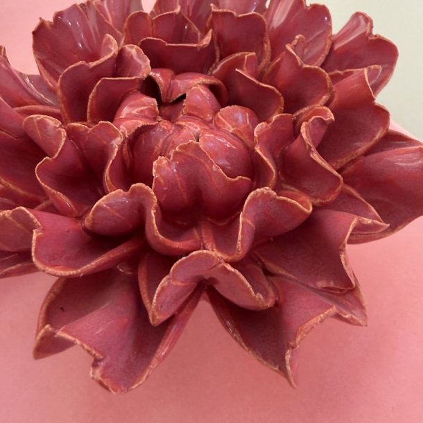 Nellike, Blush-rosa