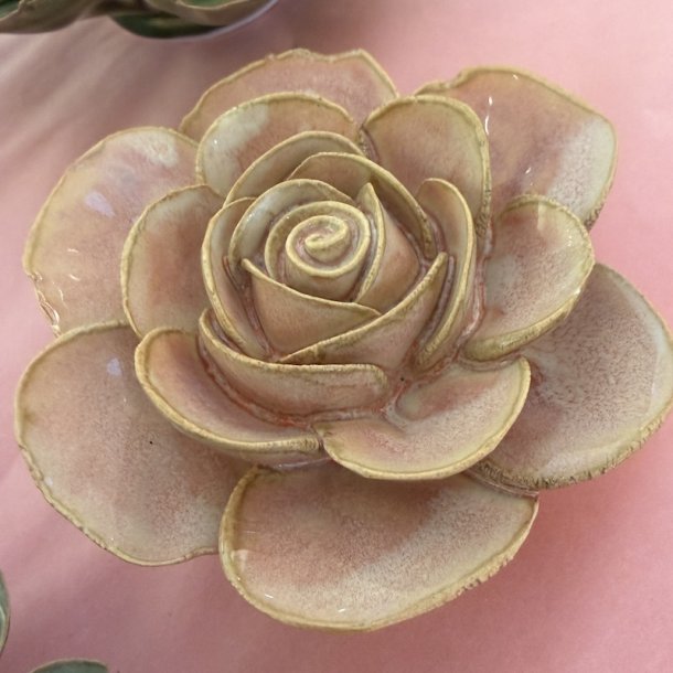 Ranunkel, Fersken  pink