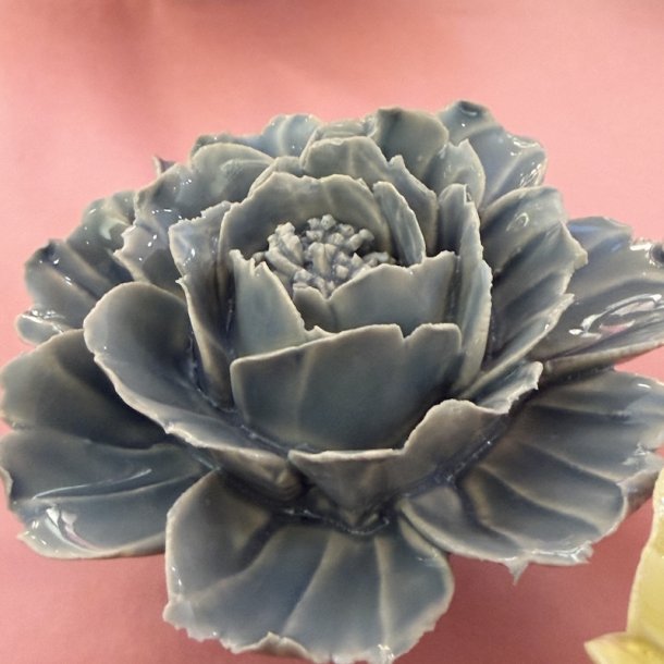 Rose, Pastel bl�