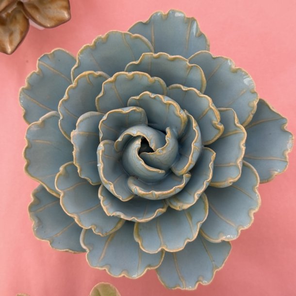 P�onblomst, Bl� Keiko