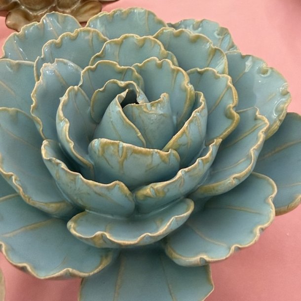 P�onblomst, Bl� Keiko