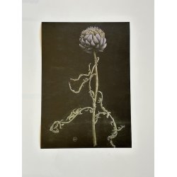 Artiskok, A3, Ane Whlk