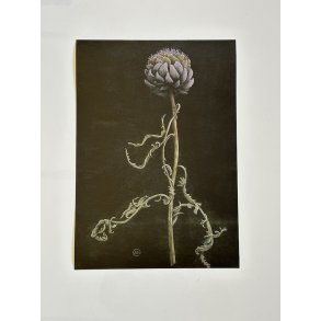 Artiskok, A3, Ane Whlk