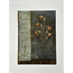 Kejsertr, A3, Ane Whlk